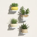 Floating Wall Shelves Set